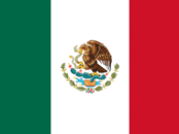 mexico-flag-icon-256